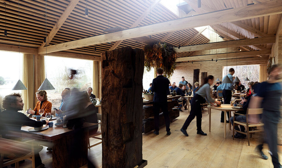Restaurantanmeldelse: Noma 2.0 er verdensklasse