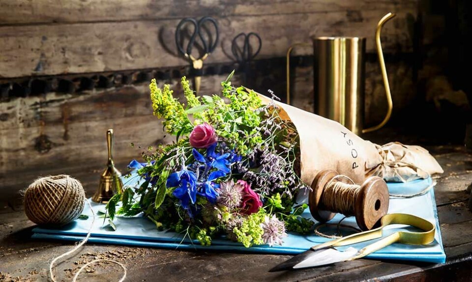 Videnskaben har talt: Derfor skal du bare købe hende de der blomster, mand!