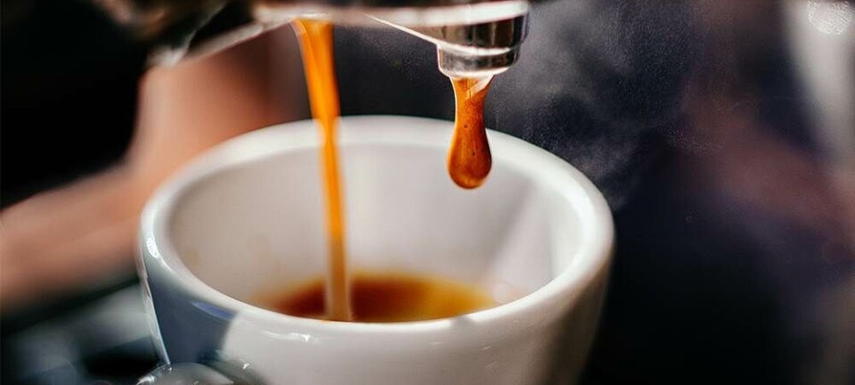 Ny undersøgelse: Så mange insekter indtager du om året ved at drikke kaffe
