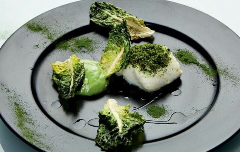 Opskrift på grøn torsk