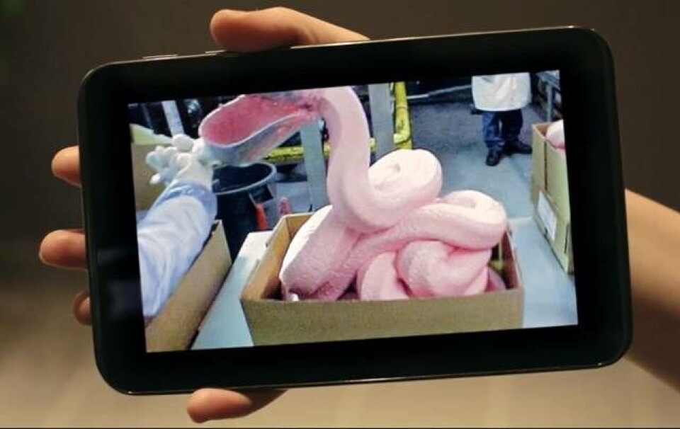 McNuggets-myte aflivet