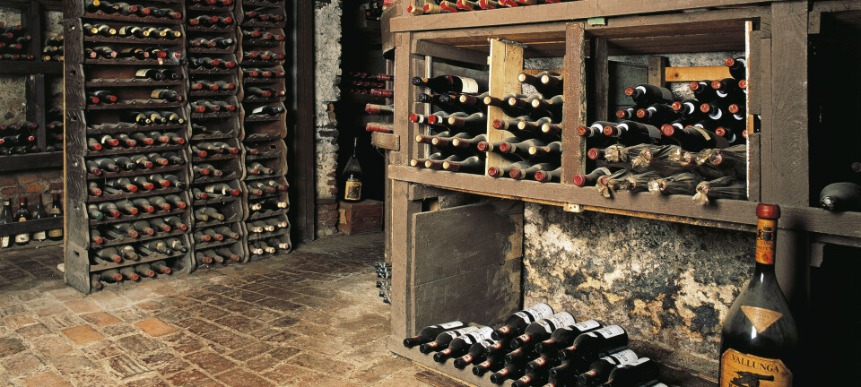 En sommelier forklarer: Hvad skal der i glasset?