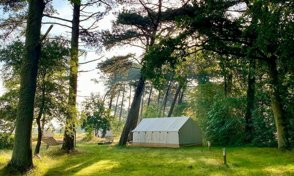 Michelin-restaurant åbner afstikker på populært glamping-sted