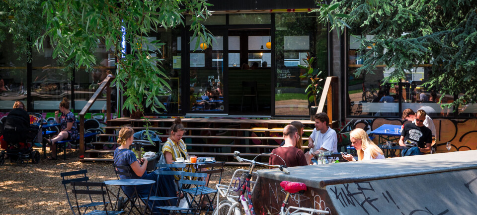 Her skal du gå ud og spise med dine venner i København