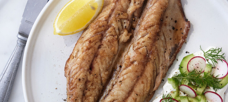 Stegt butterflied makrel med sommersalat