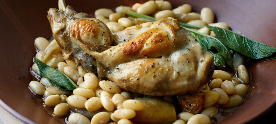 Denne efterårsret går rent hjem ved middagsbordet