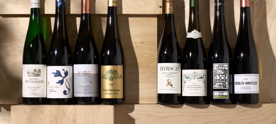 8 grüner veltliner-vine fra Østrig, du bør prøve