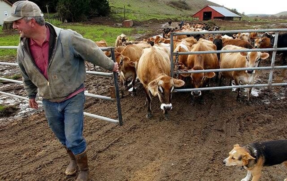 11 geniale jyske vendinger alle burde bruge