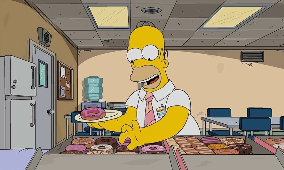Homer Simpson The Simpsons