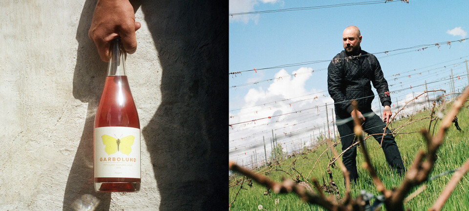 Drik dig glad: På Garbolund i Annisse producerer de vin på den danske naturs præmisser