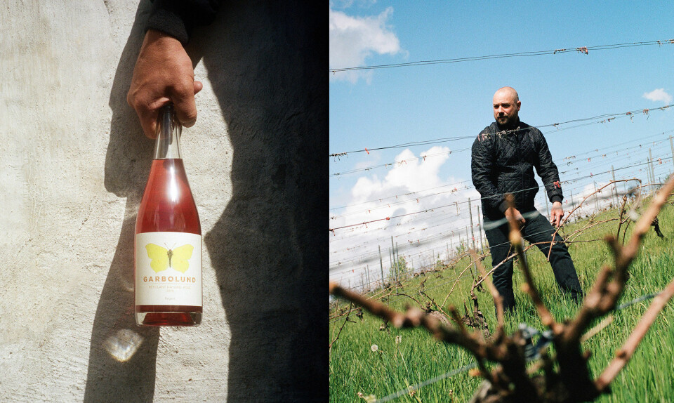 Drik dig glad: På Garbolund i Annisse producerer de vin på den danske naturs præmisser