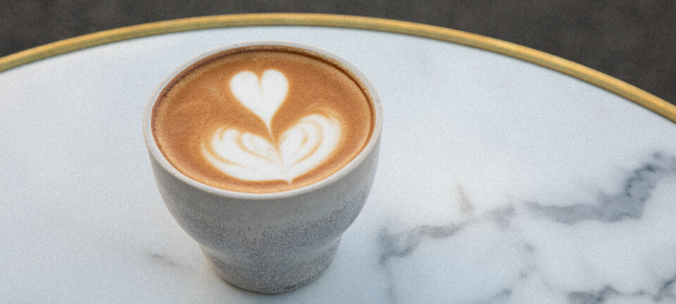 Her er de 11 bedste kaffebarer i København