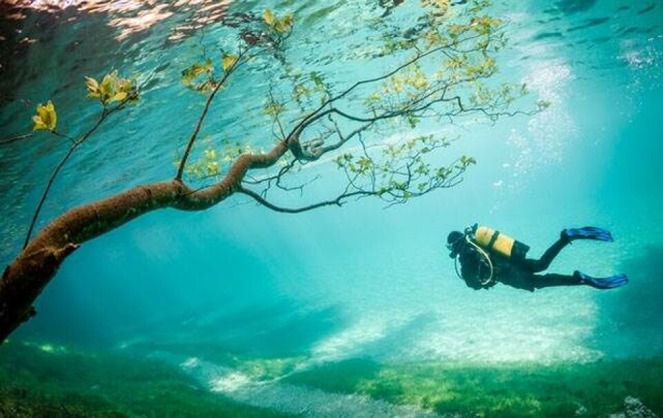 Se de magiske vinderbilleder fra National Geographics rejsefotokonkurrence