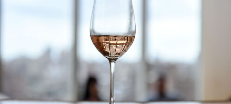 Vinekspert anbefaler otte rosévine til alle (sommer)lejligheder