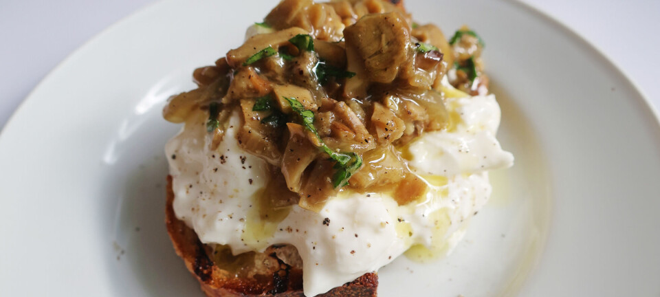 Du leder efter en nem og velsmagende forret? Så skal du bare gøre som Osteria 16