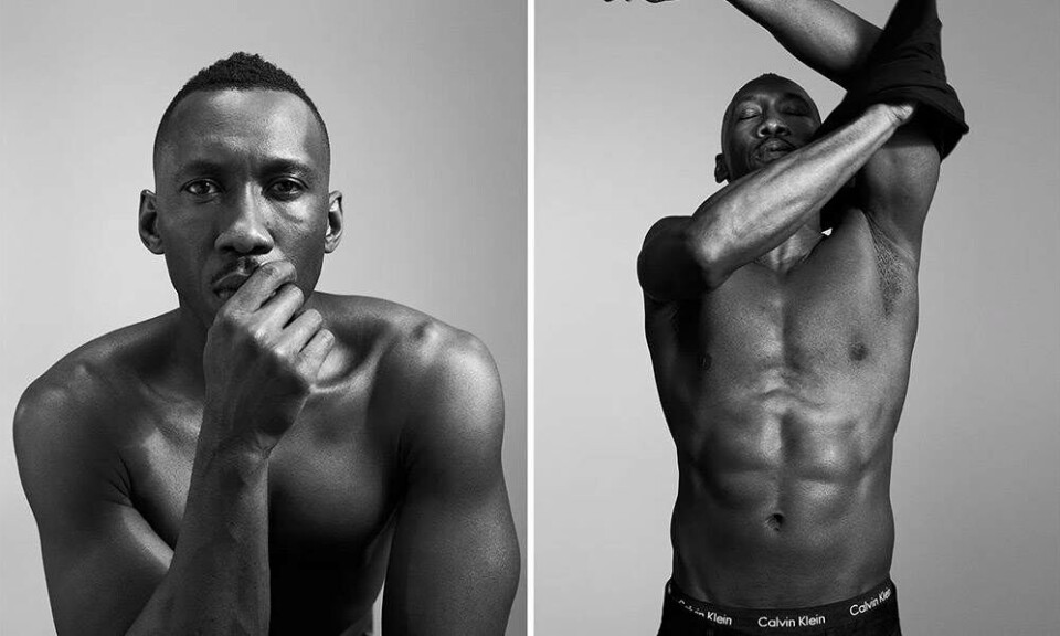 Calvin Klein Moonlight
