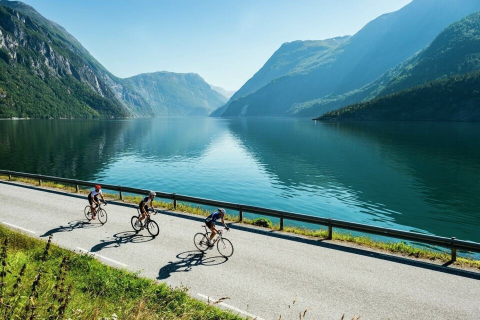 Cykeltur i Norges fjelde: Oplev unik natur og kom helt ned i gear