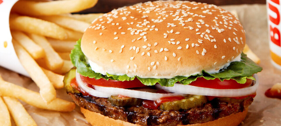 Burger King lancerer Whopper uden kød i Danmark