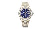 Verdens dyreste Rolex Submariner er netop blevet solgt