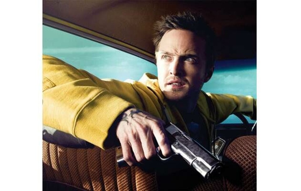 Billede 1 - Hollywoods arvtagere