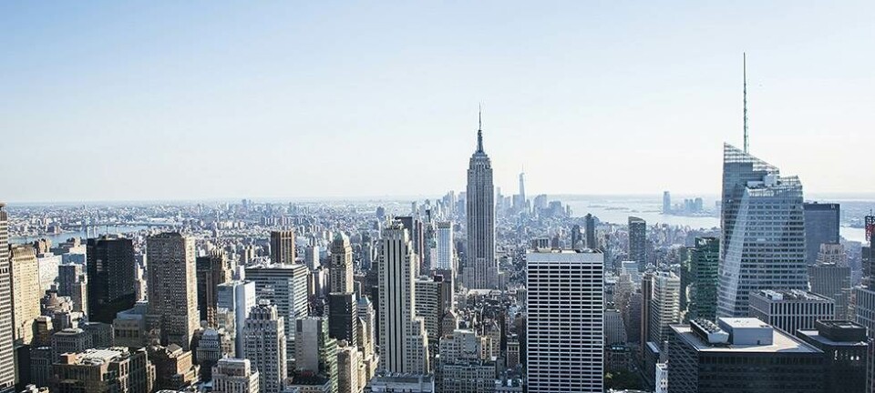 Spis dig gennem byen: et døgn i New York