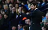 Tottenham Hotspurs' træner André Villas-Boas