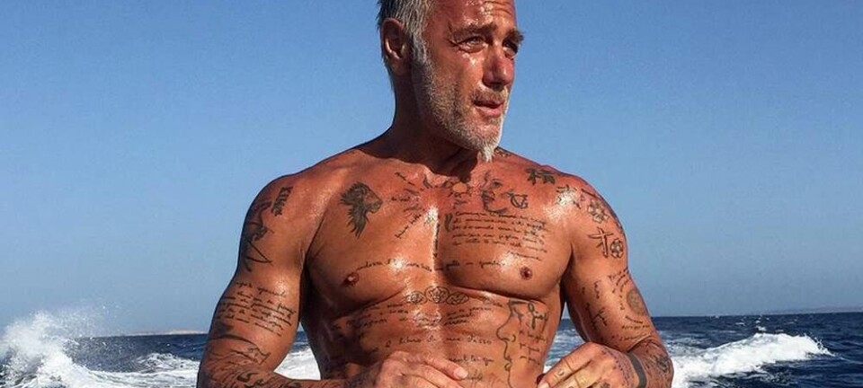 Italiensk sølvræv har 3.7 mio. følgere på Instagram