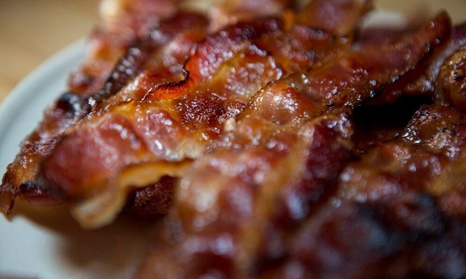 Bacontester