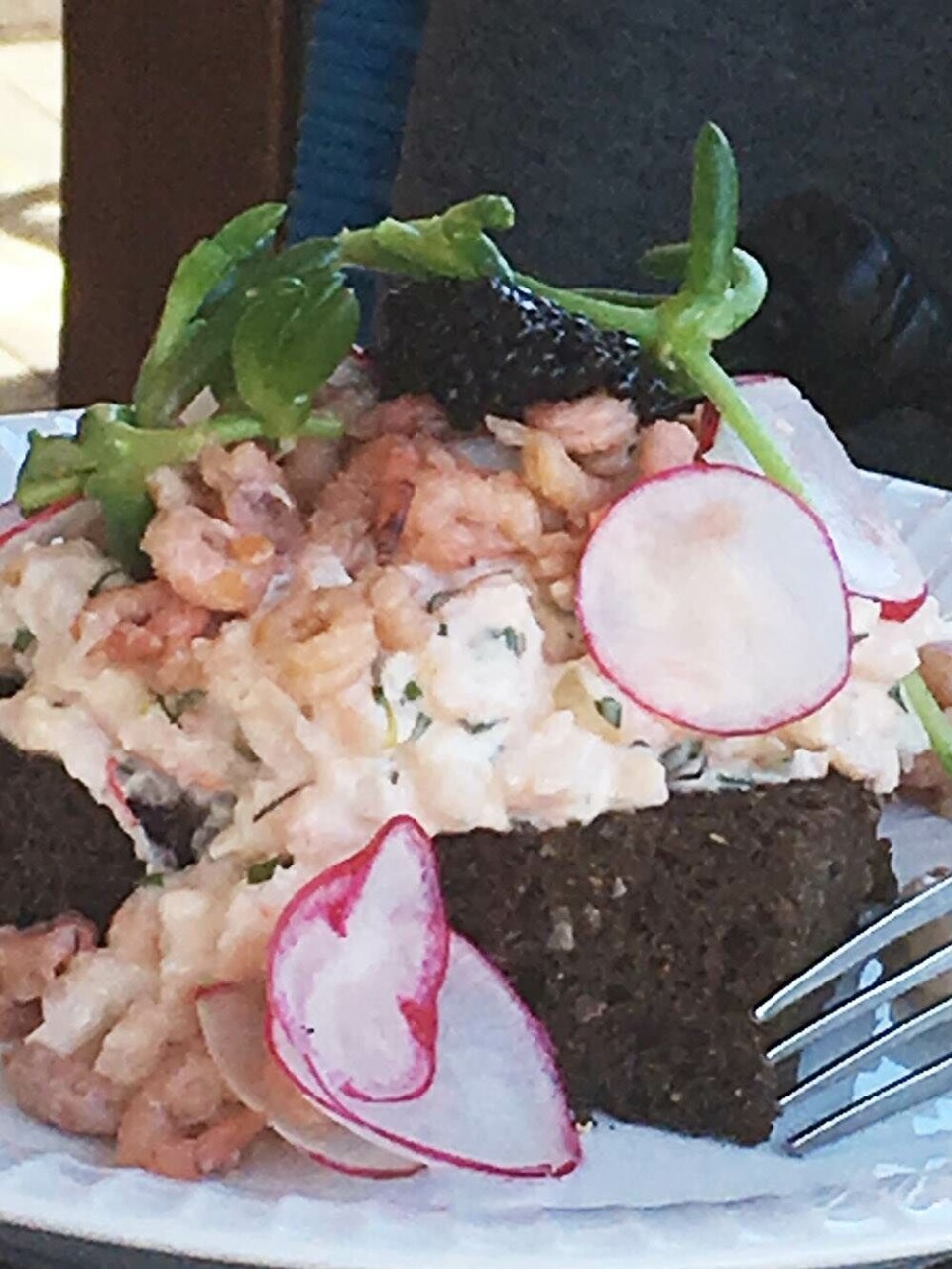 Rutsjebanetur: Sidste år var Restaurant Kähler i Tivoli et af havens sikre kort, men ved gastros besøg i år gik det helt galt