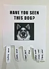 Have you seen this dog?