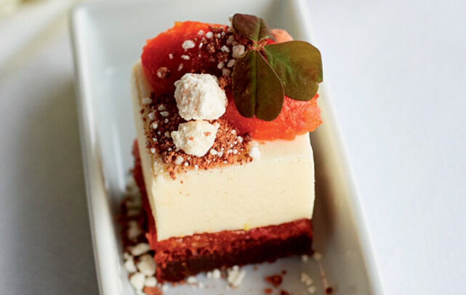 Opskrift på chokoladehybenkage fra Søren K