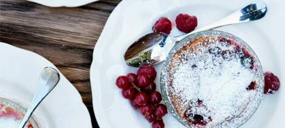 Clafoutis med hindbær og ribs