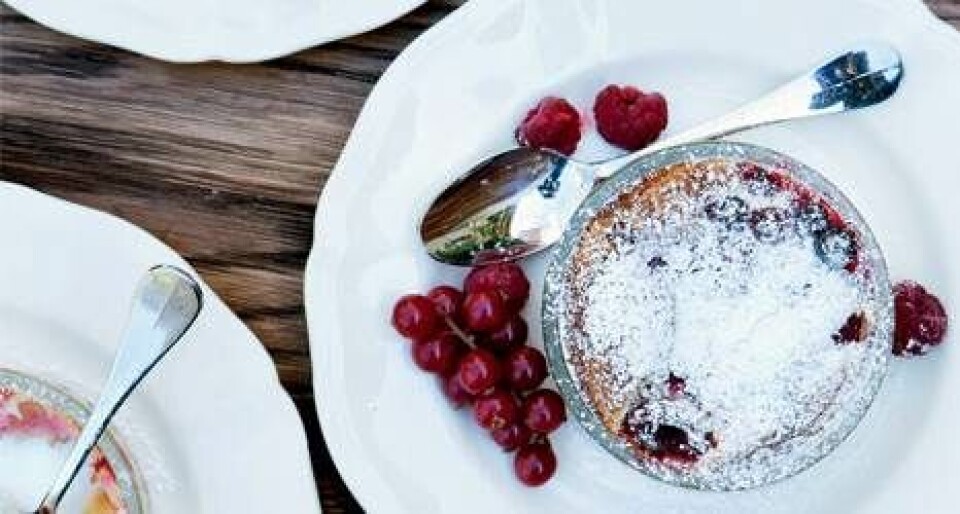 Clafoutis med hindbær og ribs