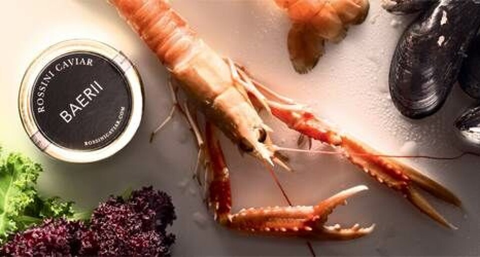 Ristet jomfruhummer på kål