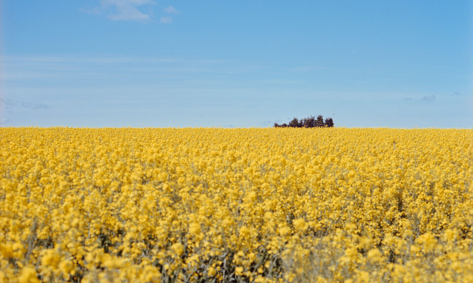 Depanneur og dansk fotograf lancerer plakat for at hjælpe Ukraine