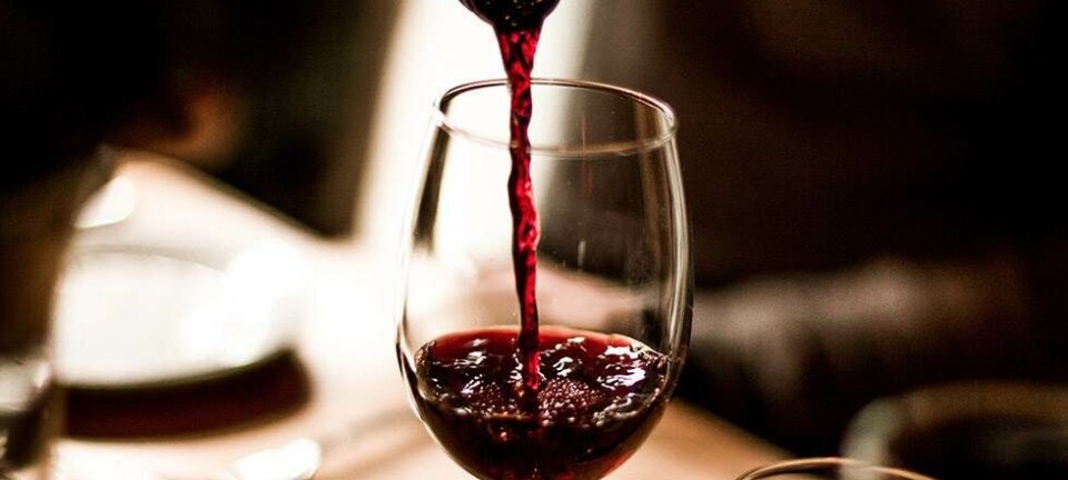 MASH’ chefsommelier anbefaler 5 fantastiske jule-vine under 500 kroner