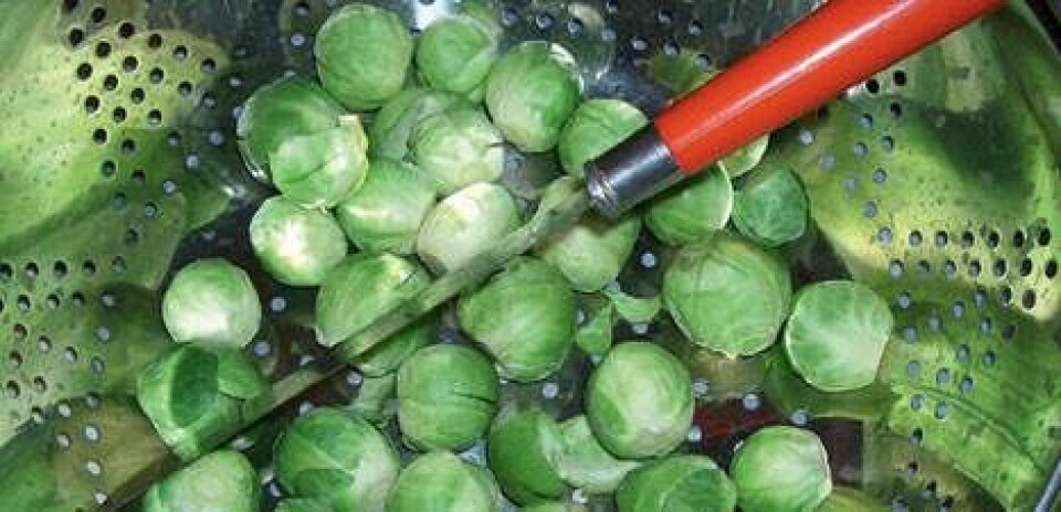 4 opskrifter med rosenkål