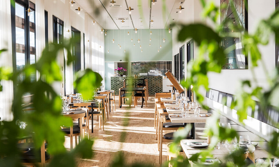 Museumsrestauranter- og caféer