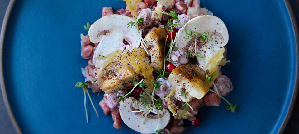 Den her deler vandene: Her er opskriften på tatar med Gammel Knas