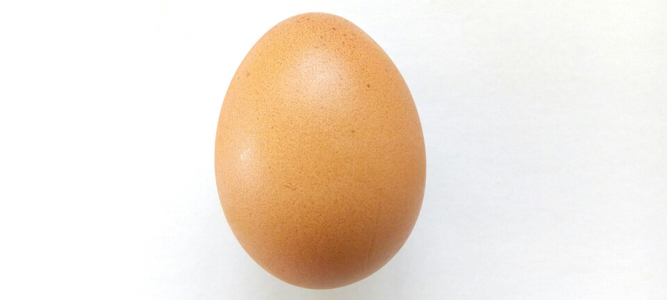 Kylie Jenners mest likede billede på Instagram er blevet slået af et æg