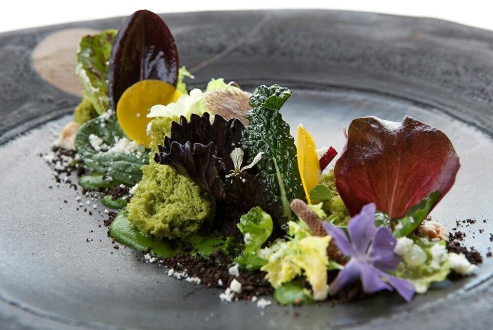 Mød det danske par der ejer to michelinrestauranter i Toscana.