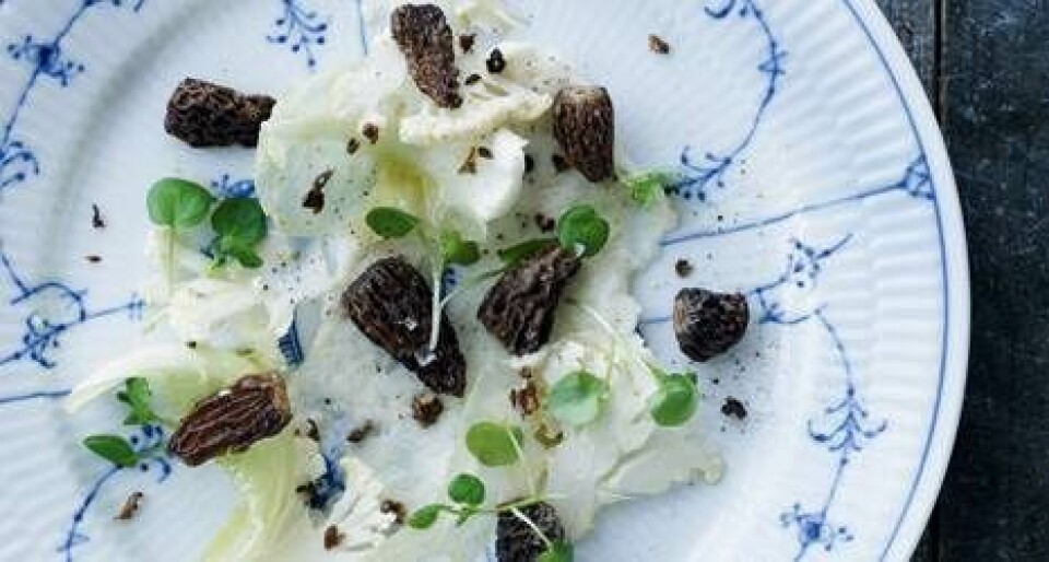 Opskrifter med morkler: Morkler med blomkål
