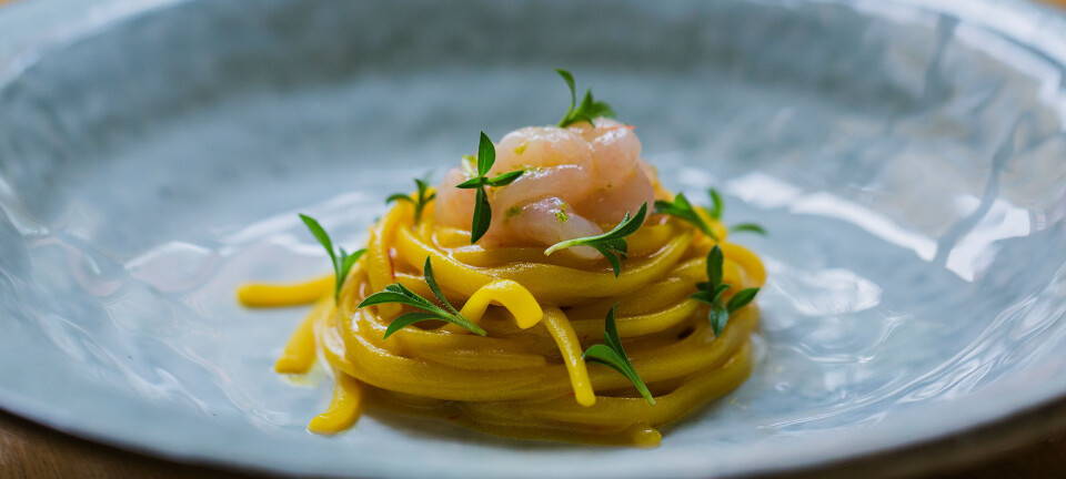 Opskrift: Linguine med safran fra Toscana og rejer fra Limfjorden