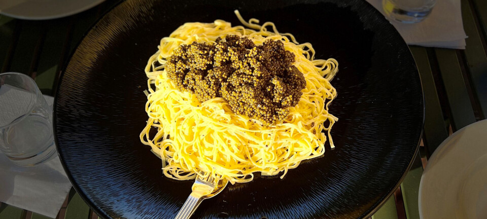 Jacob Rossinis hofret består af spaghetti for 25 kroner og caviar for 2.000 kroner