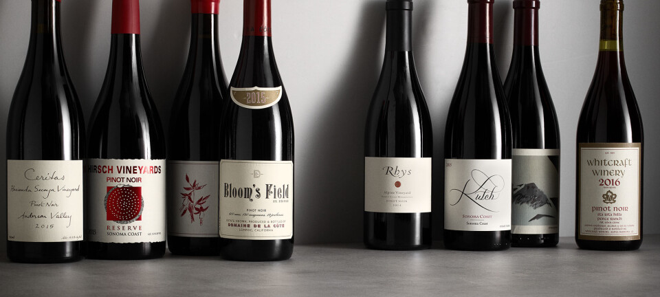 8 pinot noir fra Californien, du skal smage