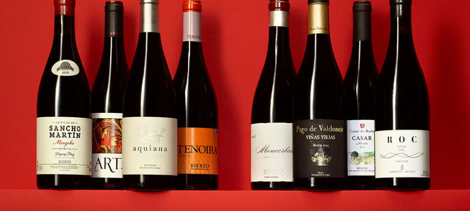 8 rødvine fra oversete Bierzo