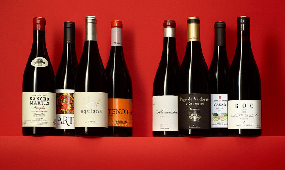 Rødvine fra Bierzo