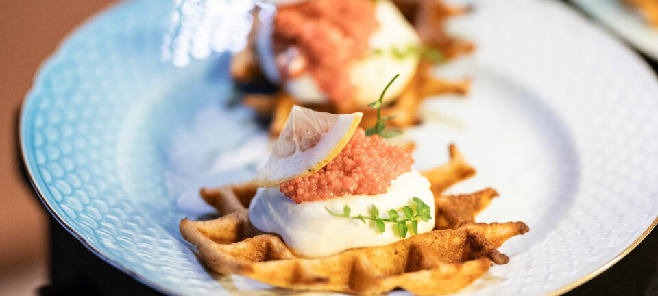 Sådan laver du surdejsvafler med stenbiderrogn, rygeostcreme og cedrat