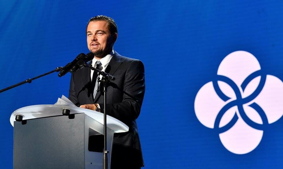 leonardo dicaprio foundation
