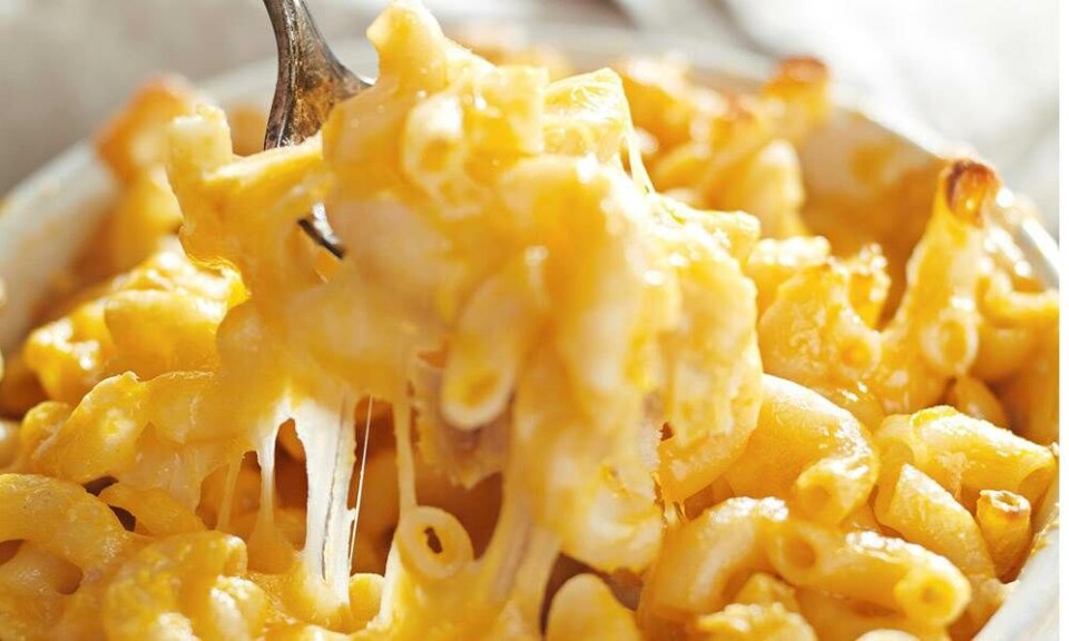 macaroni and cheese mac 'n' cheese